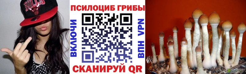 Псилоцибиновые грибы мицелий  маркетплейс формула  Чухлома 